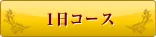 1日コース